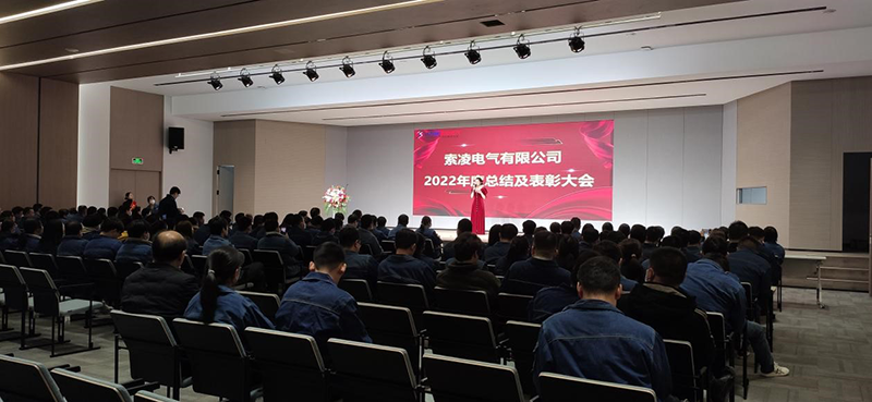 尊龙凯时公司2022年度工作总结暨表彰大会隆重召开
